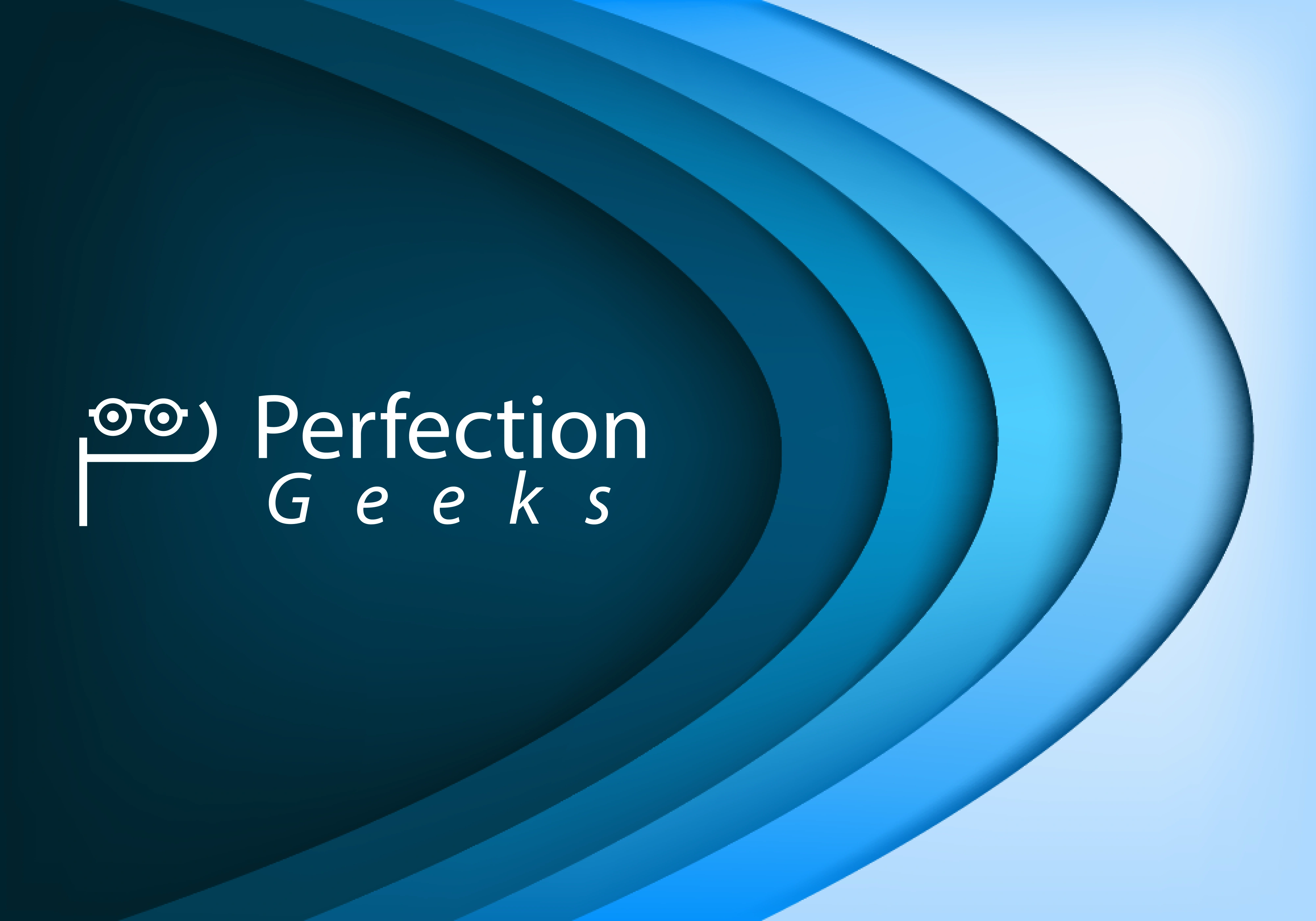 About PerfectionGeeks Technologies